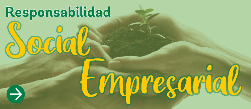 conozcanos-responsabilidad-social-empresarial-servivir-cali